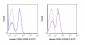 FITC Anti-Human CD28 (CD28.2) Antibody